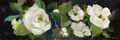 Image Not Available